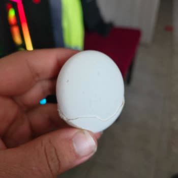 BIM Şubesinde Kırık Yumurta İçine Başka Kırık Kabuk Yapıştırılması