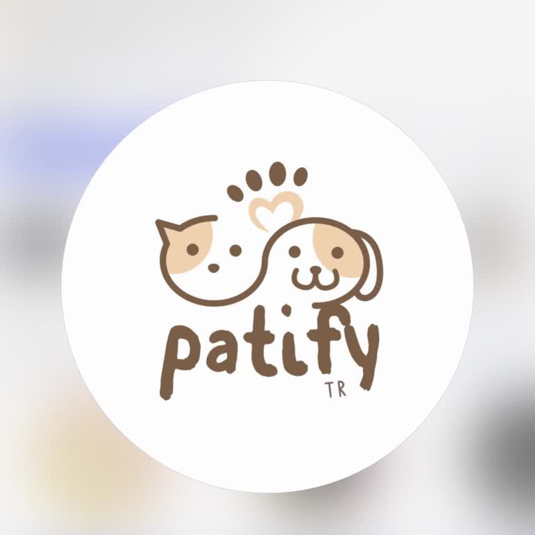 Patify'de Sipariş Gönderilmedi Ve İletişim Kurulamıyor