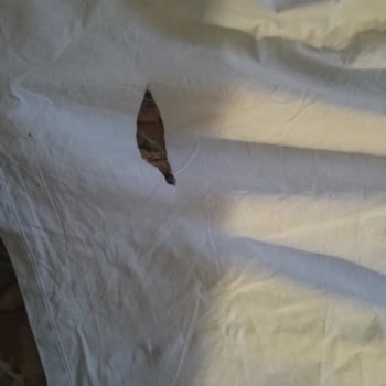 İlk Yıkamadan Sonra Kusurlu Nevresim Seti İçin Değişim İsteği