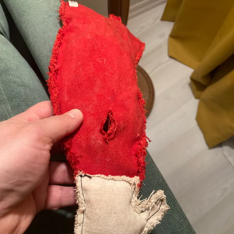 St Pia Kısa Bir Süre Oyuncak Kullanılmaz Hale Geldi!
