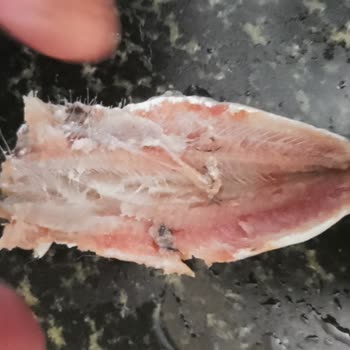 Metro Market Konya Şubesinde Temizlenmiş Sardalya Gerçekten Temiz Değil