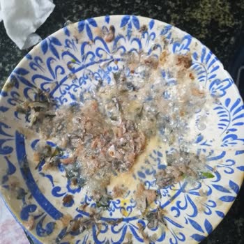 Metro Market Konya Şubesinde Temizlenmiş Sardalya Gerçekten Temiz Değil