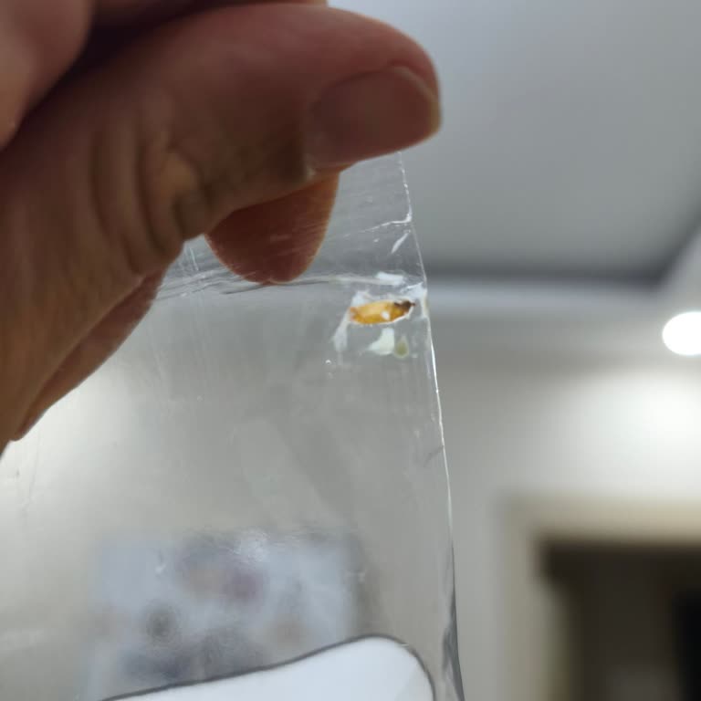 Makarna Paketi İçinde Kurt Bulunması Sağlık Endişesine Ve Güven Kaybına Neden Oldu