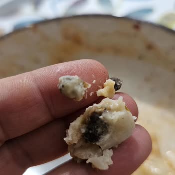 Migros Beylikdüzü Üçgen Bohça Mantısında Sert Parçalar Ve Ayıplı Ürün