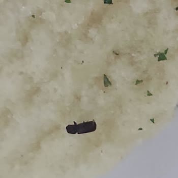 Lays Cips Paketi İçinde Böcek Benzeri Yabancı Madde Tespiti Ve Hijyen Şikayeti