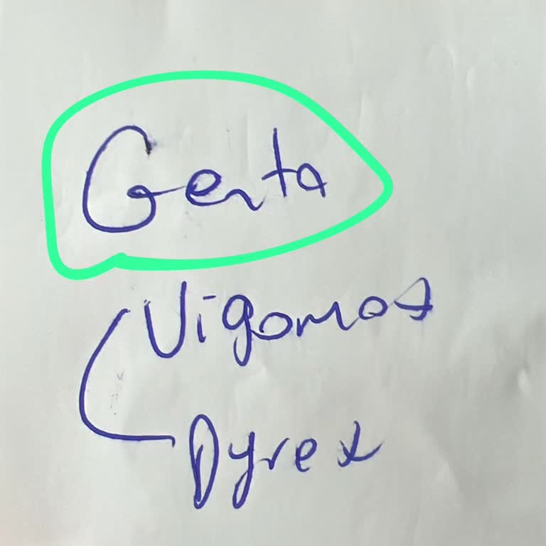 Üsküdar Belediyesi Veteriner Hizmetinde Yanlış Tanı Ve Kedi Evi Eksikliği