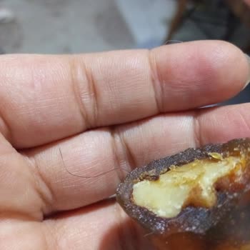 Simbat Cevizli Sucukta Saç Bulunması