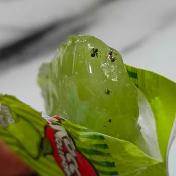 Kapanmış Şeker Paketi İçinde Karınca Keşfi Hijyen Güvencesini Sarsıyor