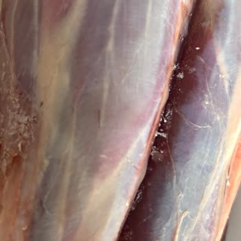 Migros Sanal Market’ten Gelen Kıllı Et İçin Hijyen İhlali Ve Ücret İadesi Talebi