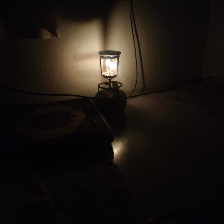 Erzurum Çat Bardakçı Mahallesinde Kalıcı Elektrik Kesintileri Ve Çözüm Talebi