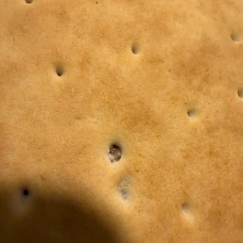 A101’de Satın Alınan Hazır Kurabiyede Siyah Cisim Ve Hijyen Endişesi