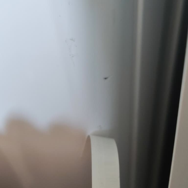 Regal Gizli Çizikli Çamaşır Makinesi Ve Değişim Reddi!