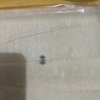 Şok Markette Küflü Yufka Satışı Sağlık Riski Ve Yardım Eksikliği