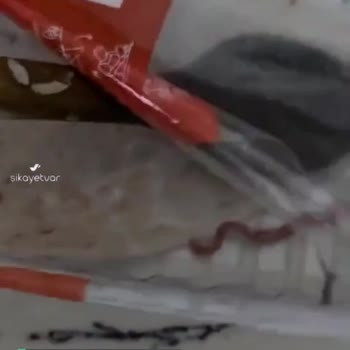 Migros'tan Alınan Kıymanın Bozuk Çıkması