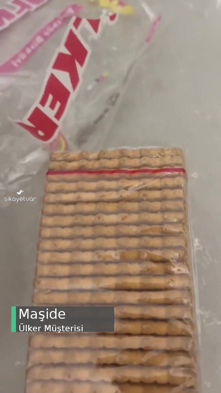 Tarihi Geçmemiş 450 Gr Ülker Pötibör Bisküvide Kurt Çıktı! videonun kapak resmi