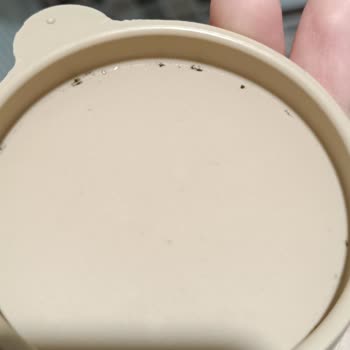 Lav Cam Sürahi Kapağında Tekrarlayan Küf Problemi