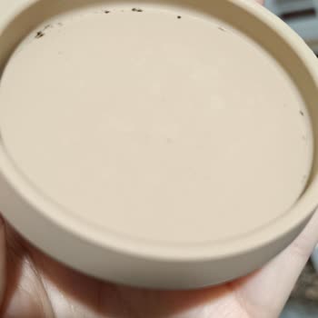 Lav Cam Sürahi Kapağında Tekrarlayan Küf Problemi