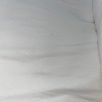 Arya Termal Otel'de Hijyen Sorunu Ve İlgisiz Yaklaşım