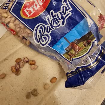 Barbunyada Çıkan Büyük Taş Parçaları Sağlık Riskine Yol Açtı