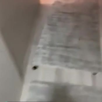 Vivense Usta Ayaklarım Toz Olmasın, Süpürün Dedi