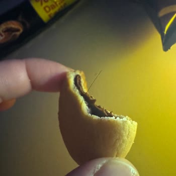 Ülker Biskrem'de Hijyen İhlali: Ürünün İçinden Saç Çıktı