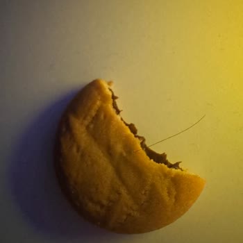 Ülker Biskrem'de Hijyen İhlali: Ürünün İçinden Saç Çıktı