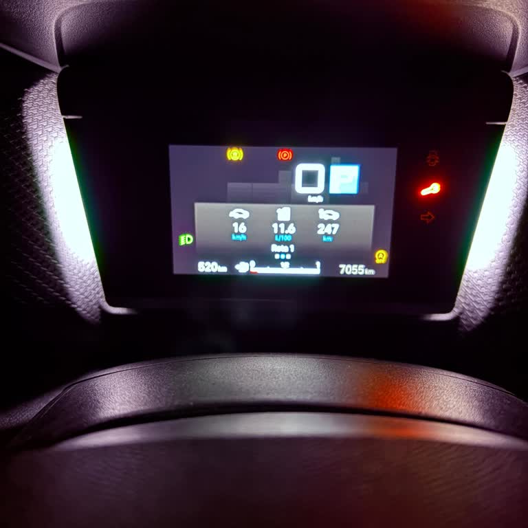 Citroen C4X Şehir İçi Beklenenden Fazla Yakıt Tüketimi