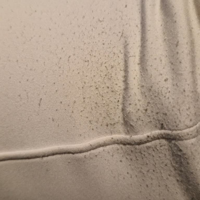 Oysho Eşofman Altı 10 Gün İçinde Pamuklanarak Kalite Ve Ücret Beklentilerini Bozdu