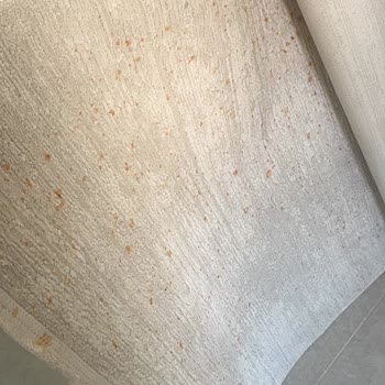 Korkmaz A156 Düdüklü Tencere Patlaması: Yanık Ve Ev Hasarı