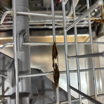 Küflenen LG Bulaşık Makinesinin Değişim Kararı Mağaza Tarafından İhmal Edildi