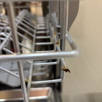 Küflenen LG Bulaşık Makinesinin Değişim Kararı Mağaza Tarafından İhmal Edildi