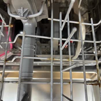 Küflenen LG Bulaşık Makinesinin Değişim Kararı Mağaza Tarafından İhmal Edildi