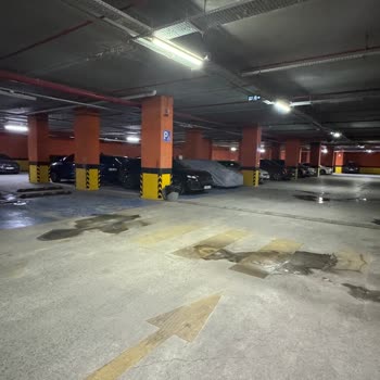 İki Katta Su Sızması Ve Asansör Arızaları: Bakım Ve Ücret İndirimi Talebi