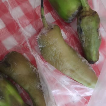 Bosch Garanti Kapsamındaki Buzdolabının Hızlı Çürümesi Ve Koku Sorunu İade Reddi