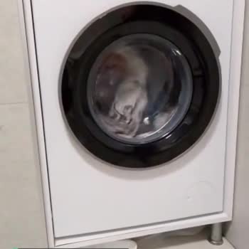 Arçelik Çamaşır Makinesi Kirli Su Akıtıyor, Yardım Edin!