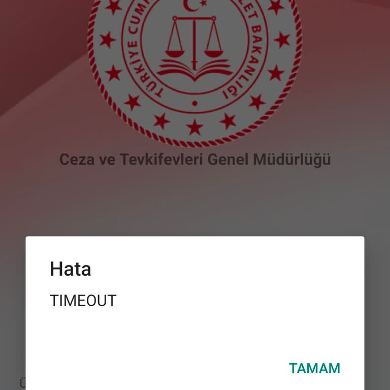 E‑Görüş Girişinde Sürekli E0006 Ve Zaman Aşımı Hatası