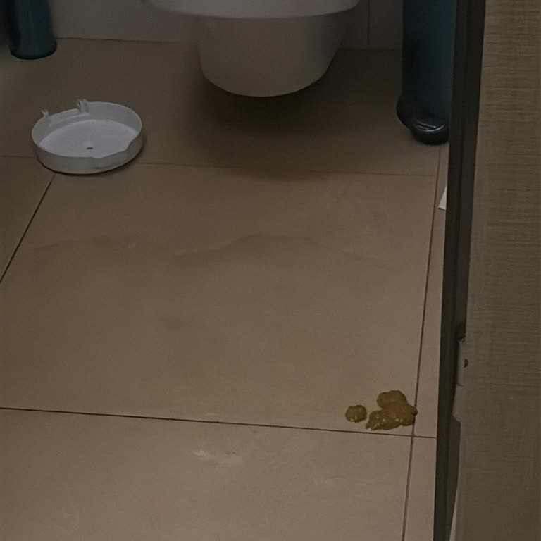 Brandium AVM P1 Katı Tuvalet Hijyen İhmali Ve Buz Kadar Soğuk Ortam