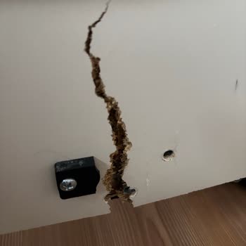 Doğtaş Çocuk Karyolasının Hatalı Tasarımı Nedeniyle Kırılması Ve Değişim Talebi