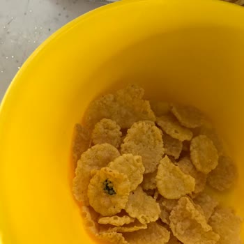 Kellogg's Mısır Gevreği Paketi İçinde Yabancı Cisim