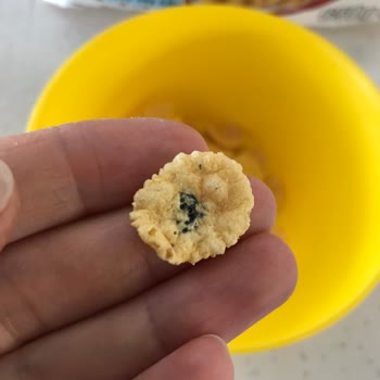 Kellogg's Mısır Gevreği Paketi İçinde Yabancı Cisim