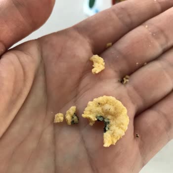 Kellogg's Mısır Gevreği Paketi İçinde Yabancı Cisim