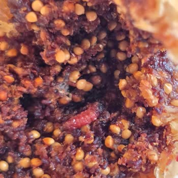 Migros’ta Kuru İncir Paketi İçindeki Solucan Ve Müşteri Hizmetlerinin İlgisiz Tutumu