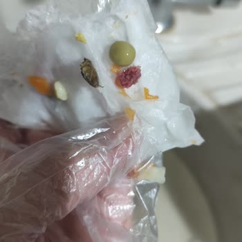 Yurdum Konserve Garnitüründe Böcek Bulunması Ve Şikayetim