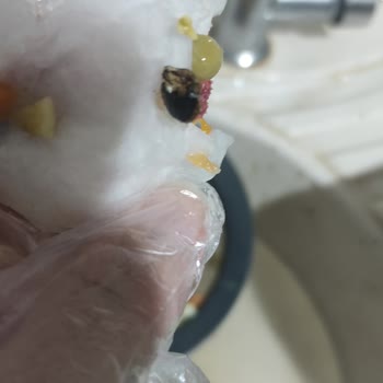 Yurdum Konserve Garnitüründe Böcek Bulunması Ve Şikayetim