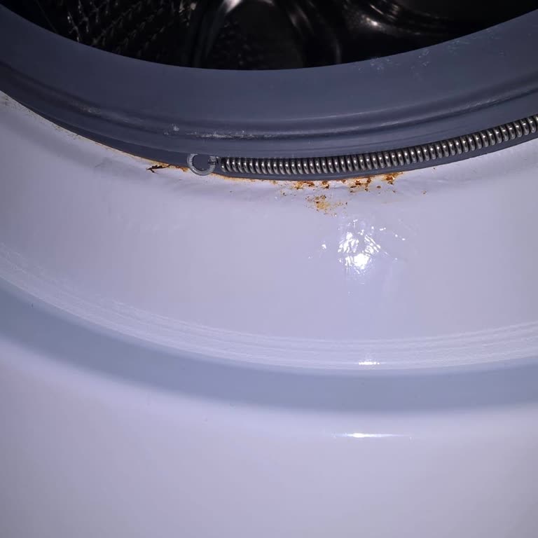 Arçelik 9124D Çamaşır Makinesinde Sürekli Kapak Lastiği Çürümesi Ve Konsol Paslanması: Garanti Kapsamında Değişim Talebi