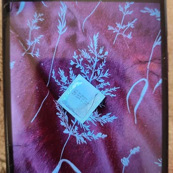 Arastur Güvensiz Otobüs Ve Yetersiz Yardım: Tur Şirketinin Sorumluluk Almaması