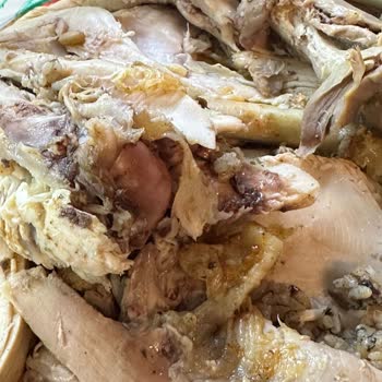 Cevizağacı’ndan Gelen Hindi Kokusuz Ve Pişmemişti, Yılbaşı Misafirleri Mahcup