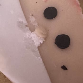 Backhaus'tan Aldığım Kurabiye İçinden Kıl Çıktı