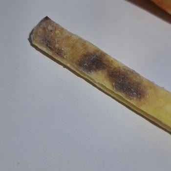 Feast Dondurulmuş Patates Ürününün Küflü Ve Siyah Noktalarla Bozulması