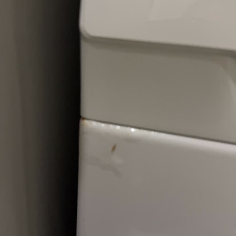 Siemens Çamaşır Makinesinin Çekmece Parçası Paslanıyor